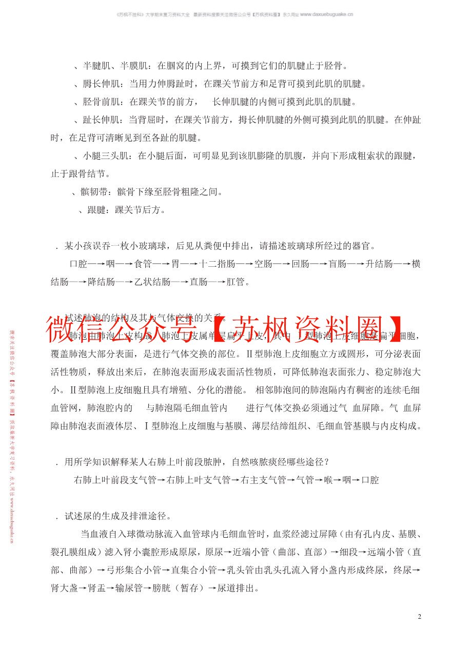 人体形态学(更新)
